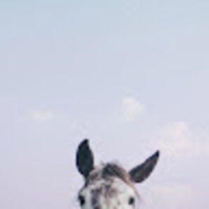 Meet your Posher, Nara